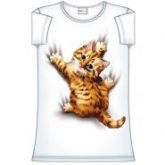 camisetas personalizadas